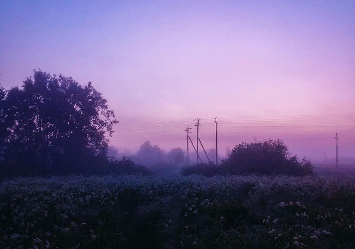 开云官网：让信任与体验并行的数字化之门