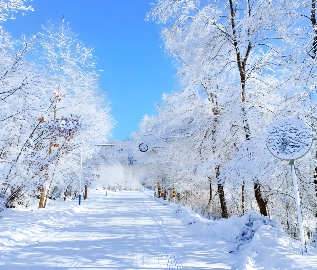 足球比分-温馨!零下37度,胡明轩冰天雪地中,给球迷签名